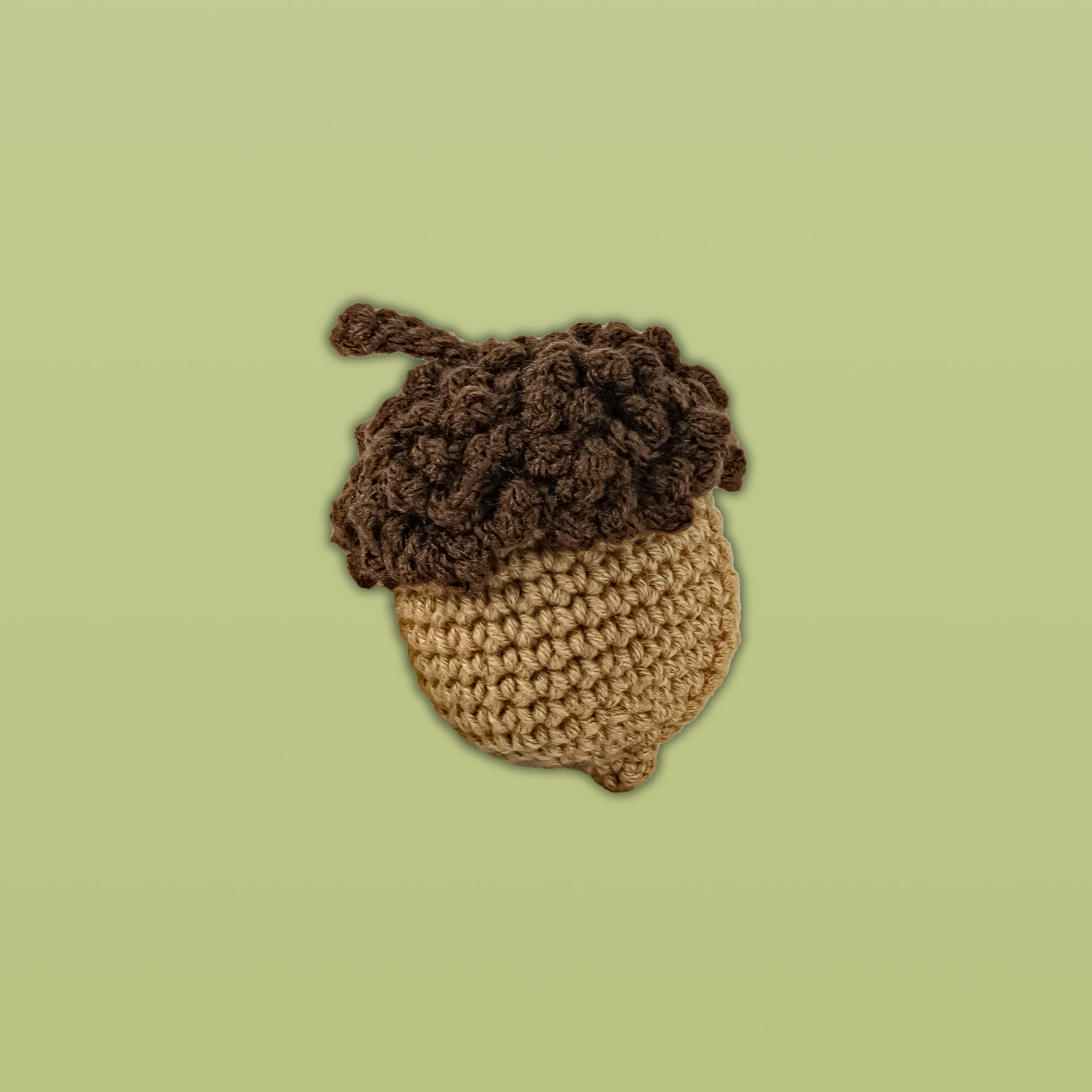 Acorn