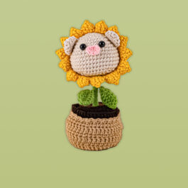 Piggy Face Sunflower with Flower Tray