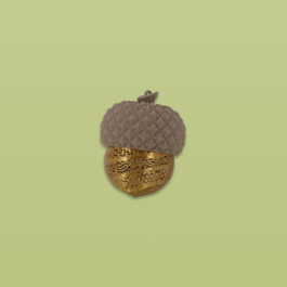 Acorn