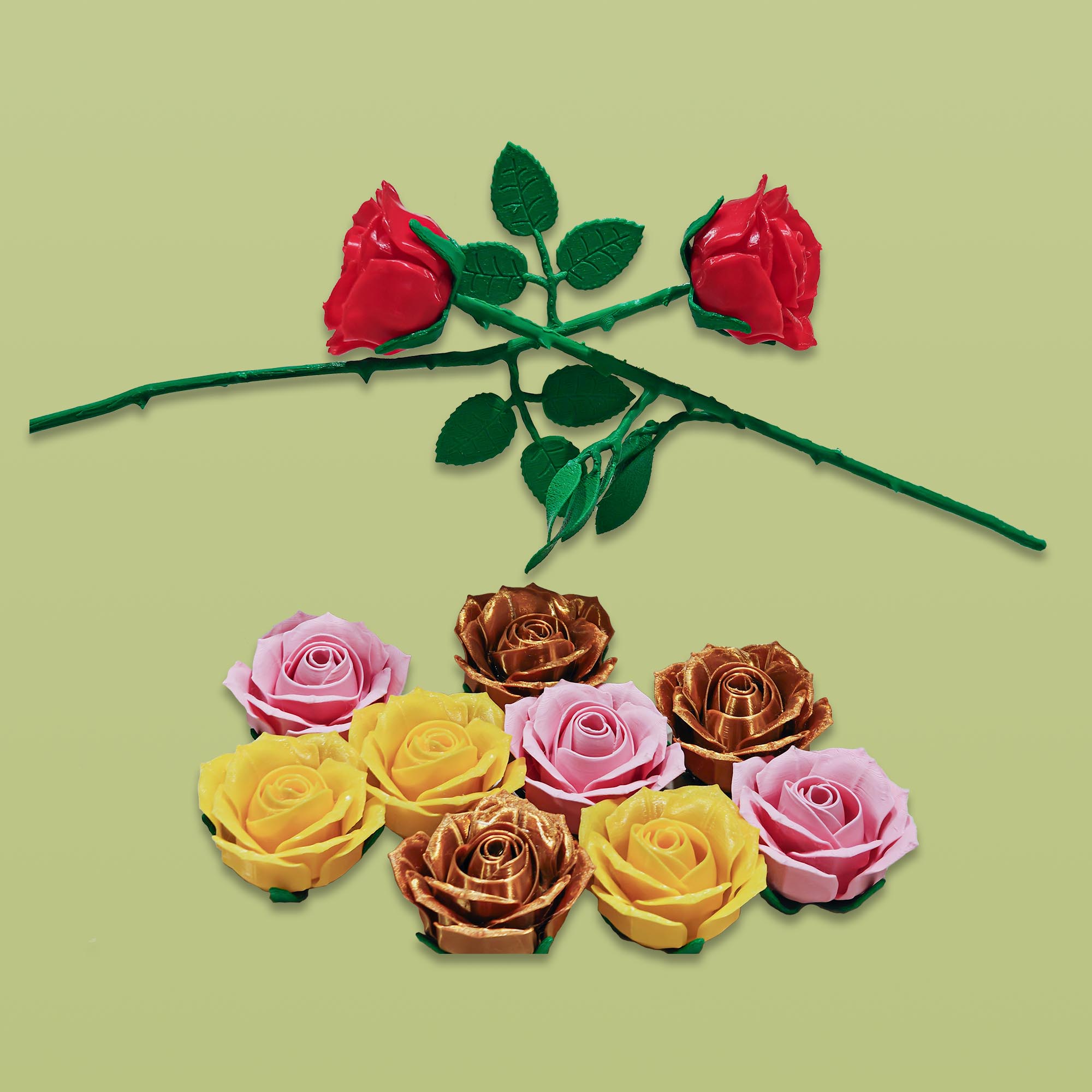 Roses - Multiple color