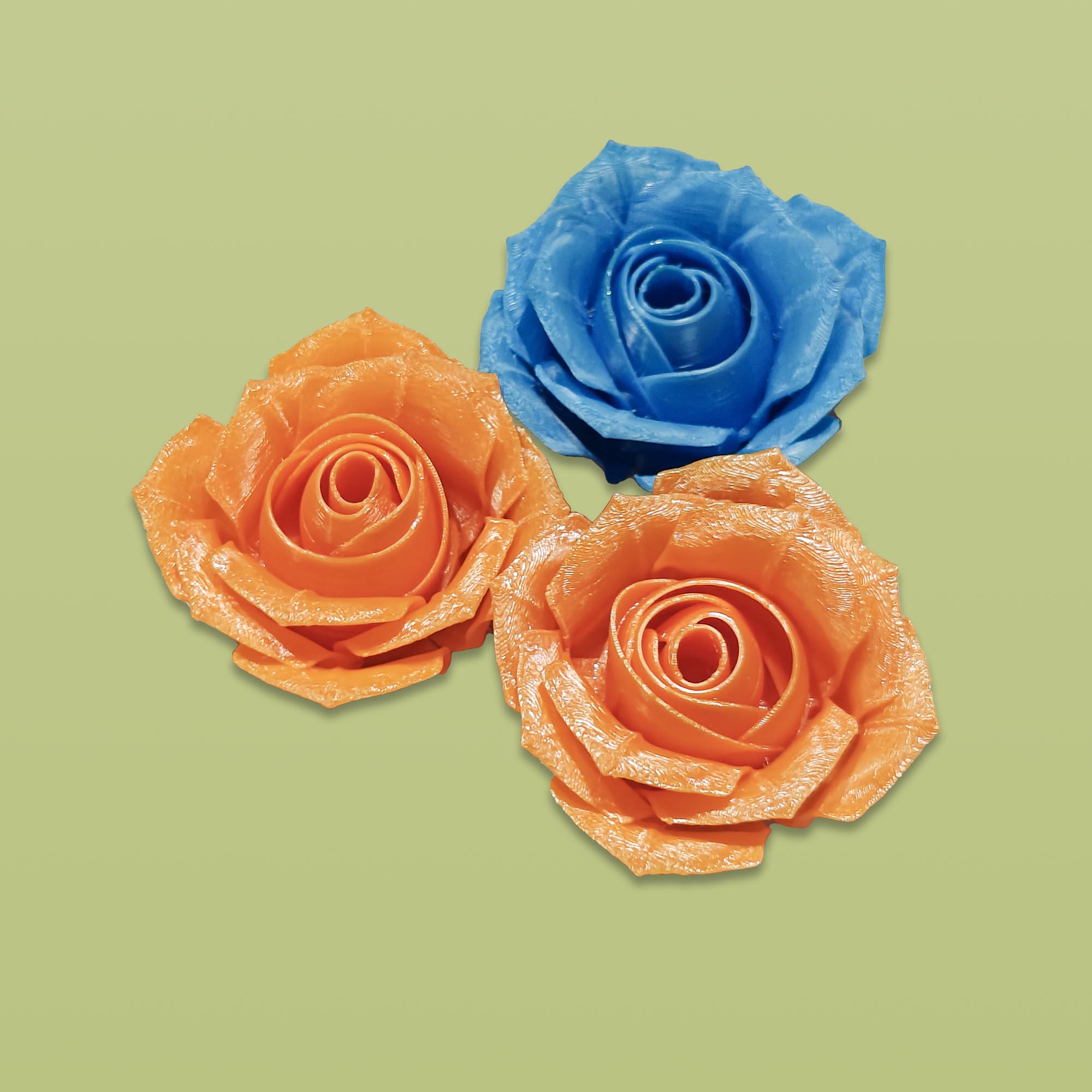 Roses - Multiple color - Image 2